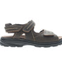 Propet Men's Hudson in Brown in 3E