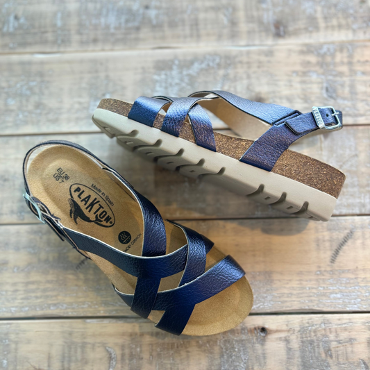 Plakton Compass Metallic Navy