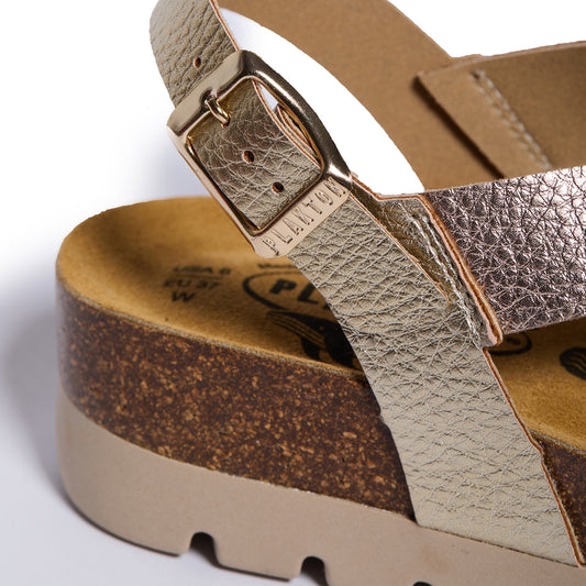 Plakton Compass Lame Metallic Multi