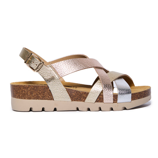 Plakton Compass Lame Metallic Multi