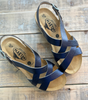 Plakton Compass Metallic Navy