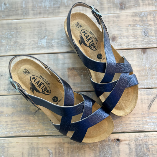 Plakton Compass Metallic Navy