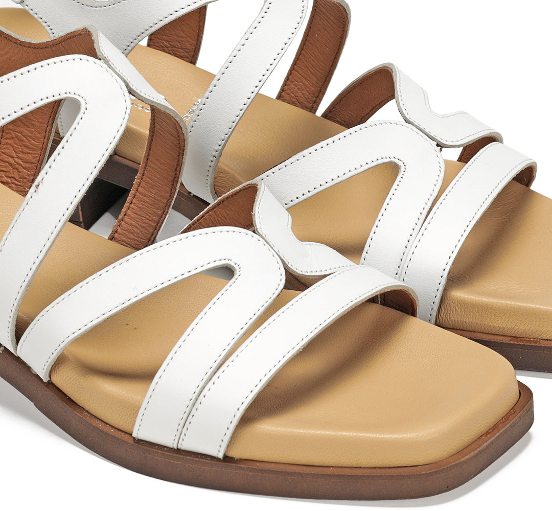 Dorking Poleo Texas Blanco