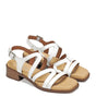 Dorking Poleo Texas Blanco