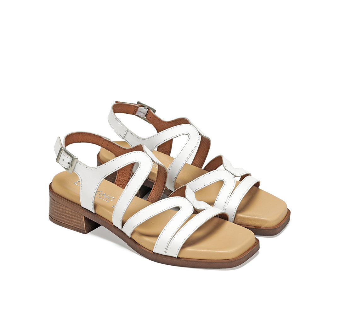 Dorking Poleo Texas Blanco