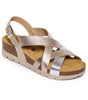 Plakton Compass Lame Metallic Multi