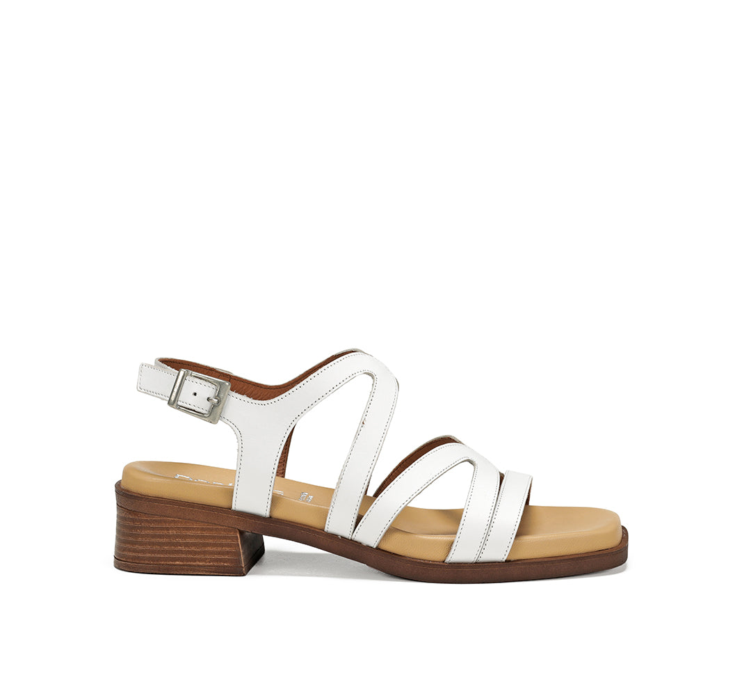 Dorking Poleo Texas Blanco