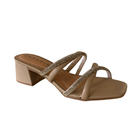 Ramarin Regina in Camel