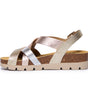 Plakton Compass Lame Metallic Multi