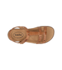 Taos Trophy 2 - Honey
