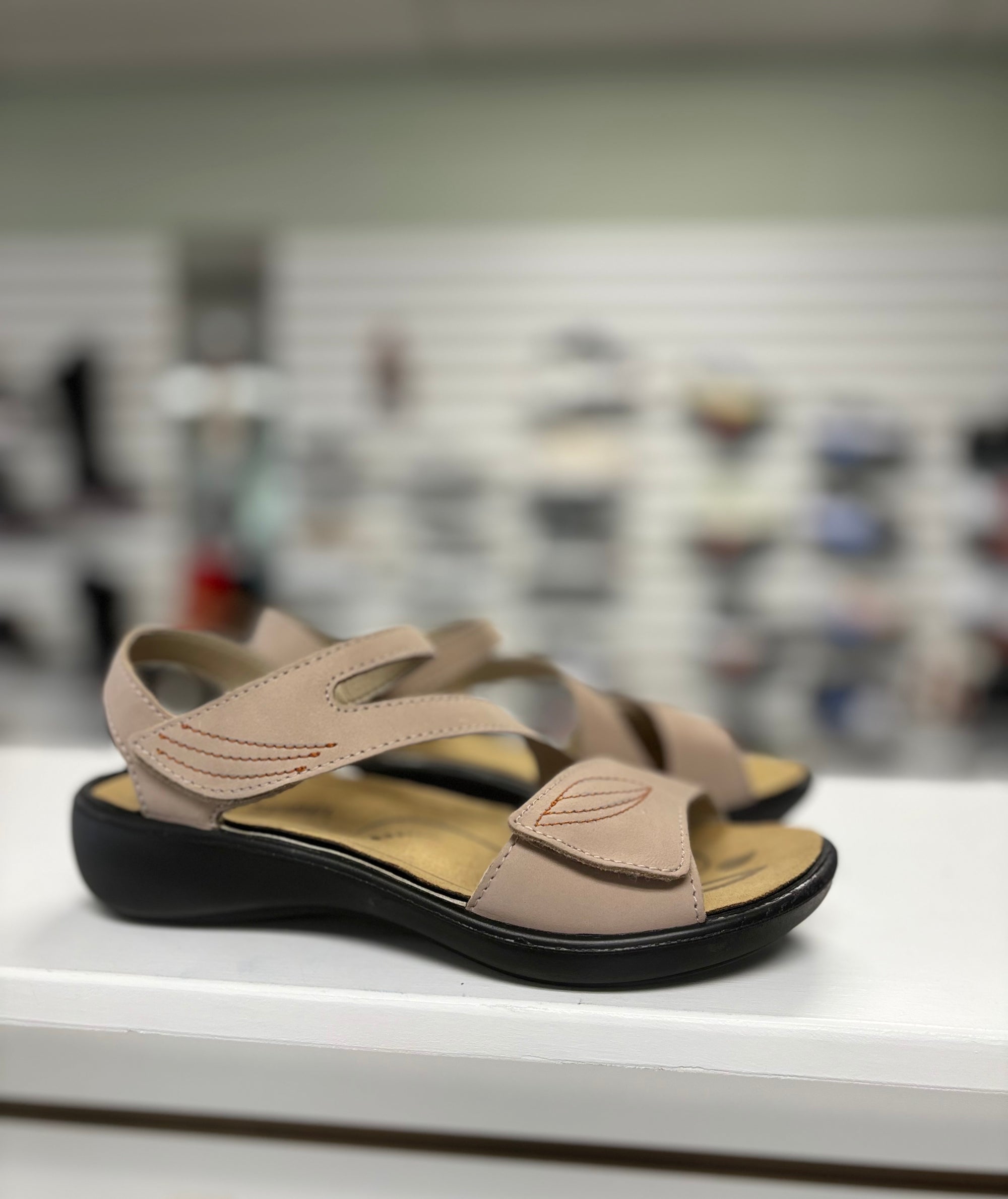 Josef Seibel Ibiza 08 in Beige