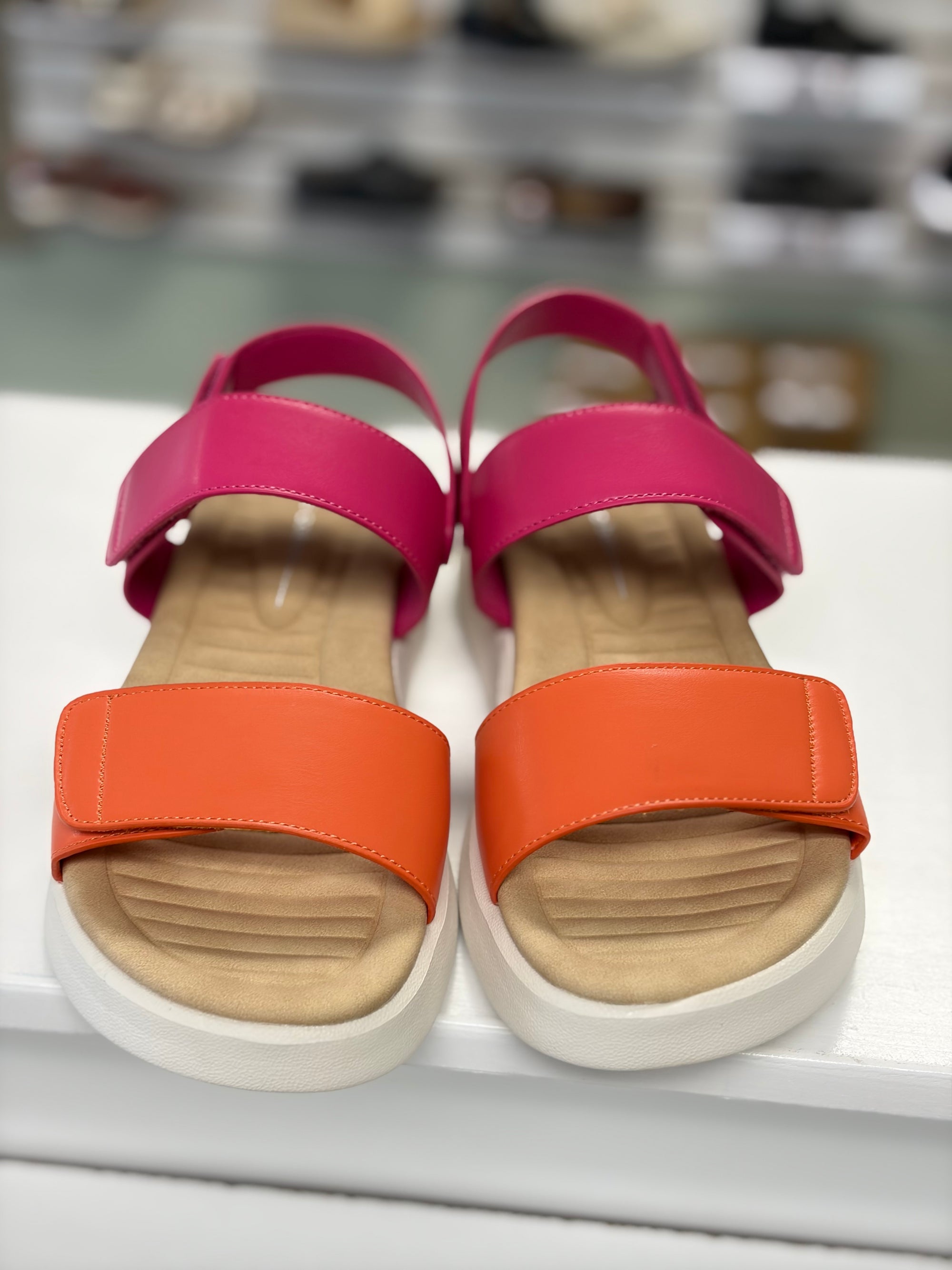 Los Cabos Arcia Orange Fuchsia