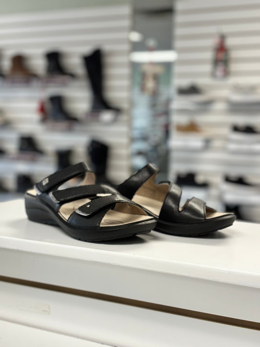 Josef Seibel Women's Ibiza 86 in Black *LAST PAIR SIZE 42*