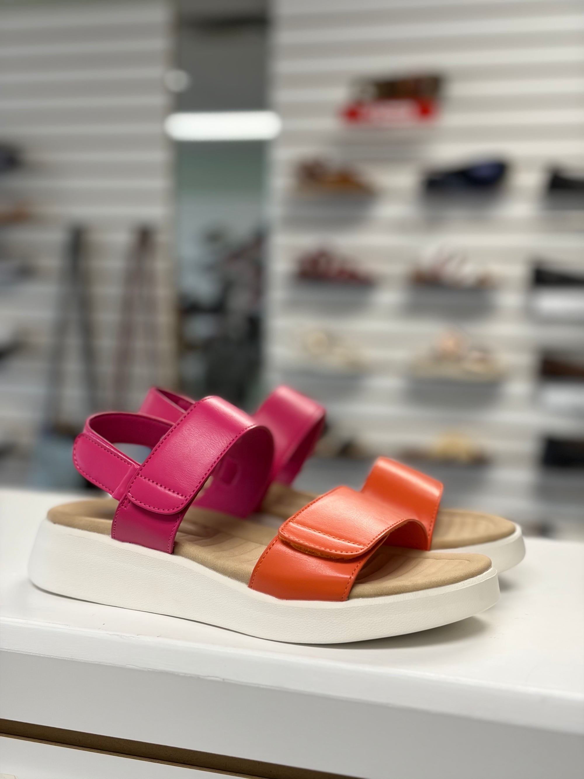 Los Cabos Arcia Orange Fuchsia