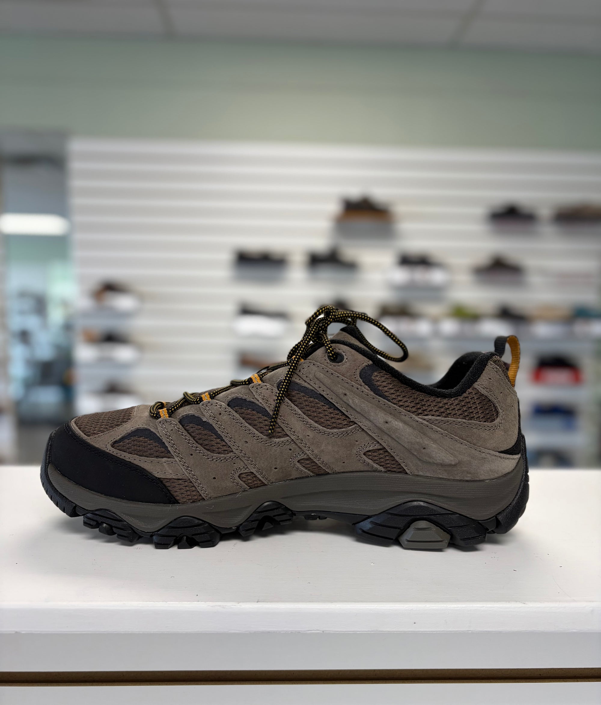 Merrell Men's Moab 3 in Walnut